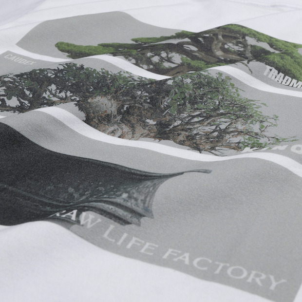 KINOCO × TRADMAN’S BONSAI TEE【WHITE】 詳細画像